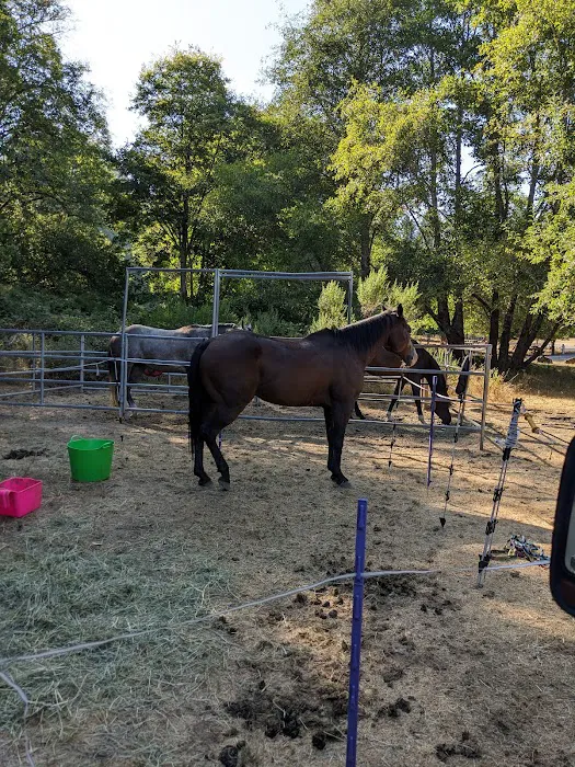 Cuneo Creek Horse Group Camp Picture 5