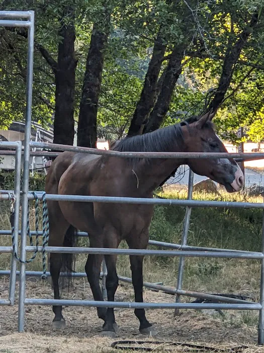 Cuneo Creek Horse Group Camp Picture 8