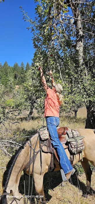 Cuneo Creek Horse Group Camp Picture 10