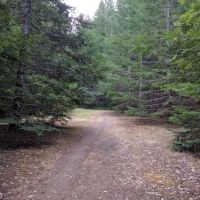 Baxter Environmental Camp ico
