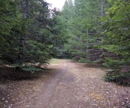 Baxter Environmental Camp