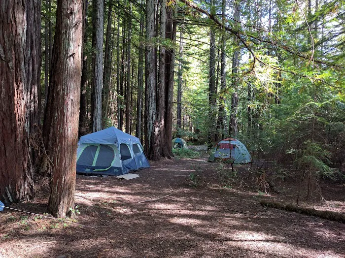 Baxter Environmental Camp Picture 2