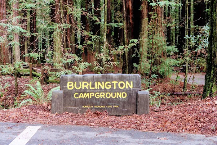 Burlington Campground Picture 7