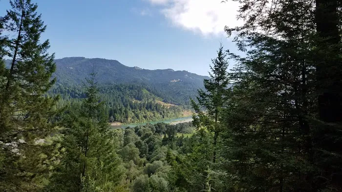 Redwood Area Camp Picture 6