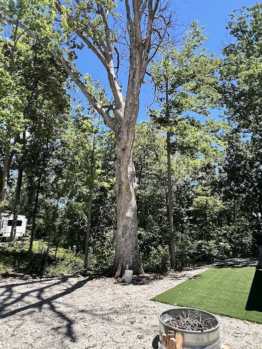 Oak Terrace RV Resort Picture 8