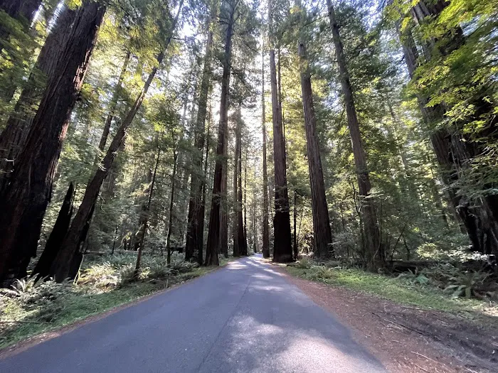 Albee Creek Campground Picture 3