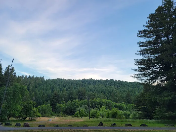 Albee Creek Campground Picture 7