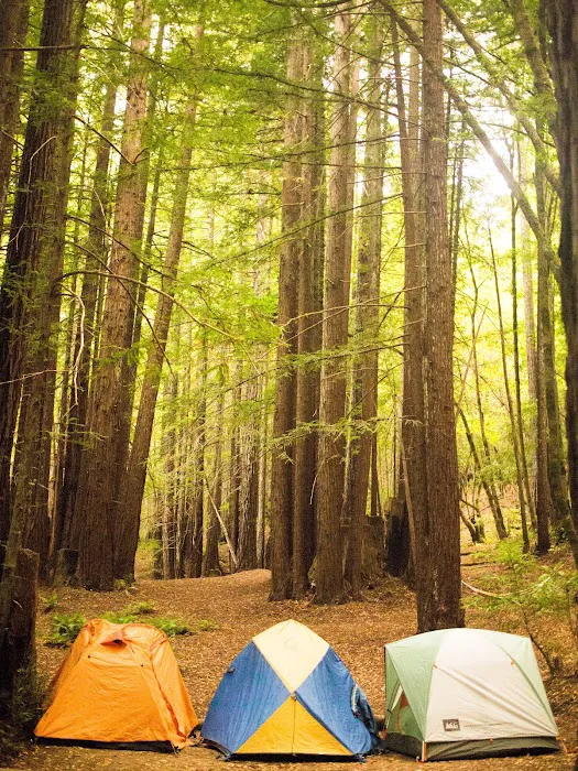 Albee Creek Campground Picture 6