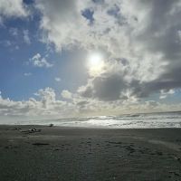 Mattole Campground ico