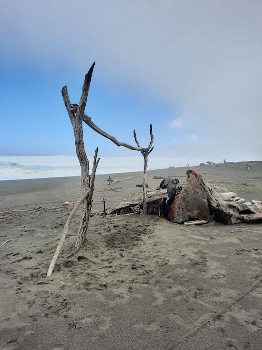 Mattole Campground Picture 4