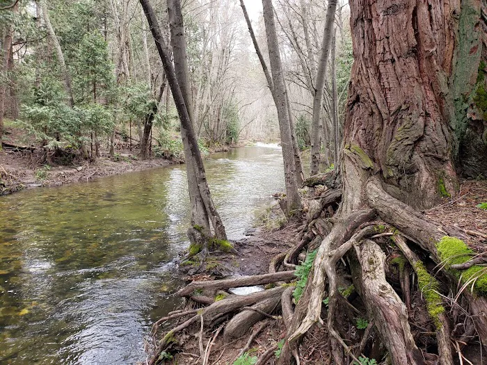 Bretz Mill Campground Picture 9