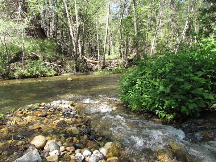 Bretz Mill Campground Picture 7