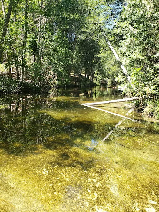 Bretz Mill Campground Picture 6
