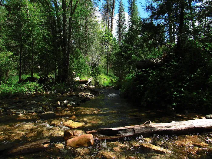 Bretz Mill Campground Picture 4