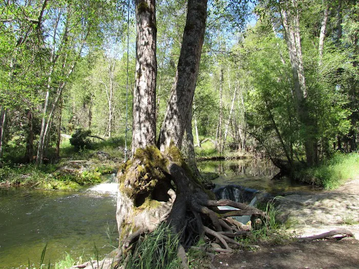 Bretz Mill Campground Picture 10