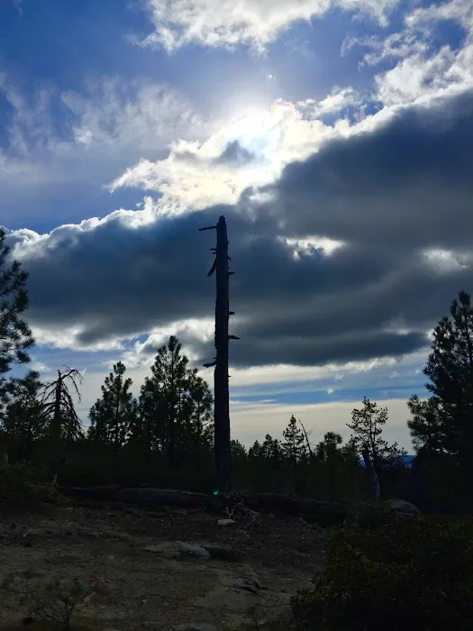 Summit Meadow Campground Picture 5