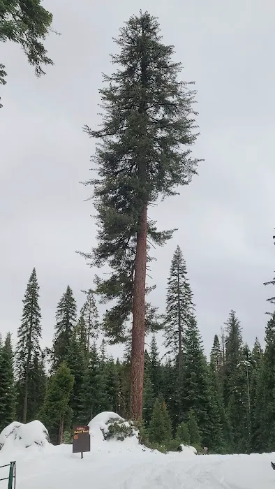 Summit Meadow Campground Picture 1