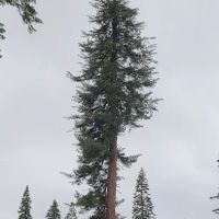 Summit Meadow Campground ico