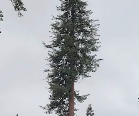 Summit Meadow Campground