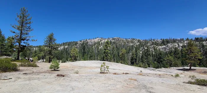 Summit Meadow Campground Picture 9