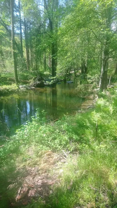 Duff Creek Campground Picture 6