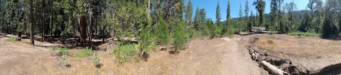 Duff Creek Campground Picture 5