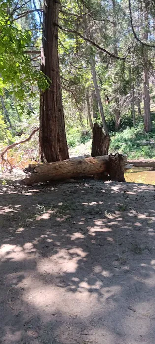Duff Creek Campground Picture 8