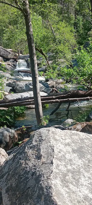 Duff Creek Campground Picture 4