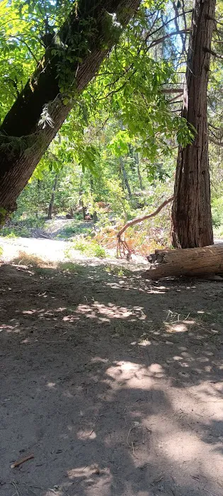 Duff Creek Campground Picture 7