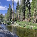 Lower Dinkey Creek Campground