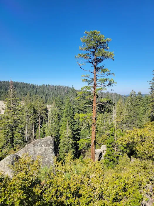 Dinkey Creek Campground Picture 10