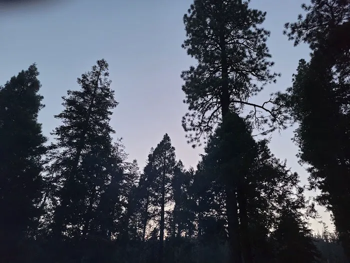 Dinkey Creek Campground Picture 9