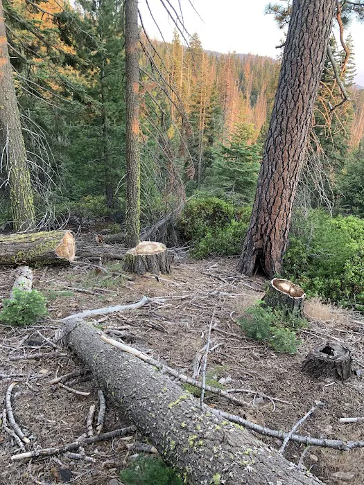 Upper Dinkey Creek Campground Picture 2