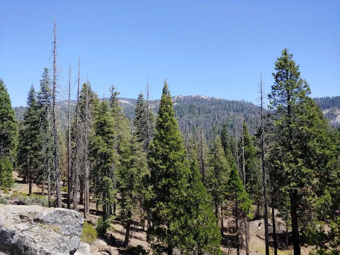 Upper Dinkey Creek Campground Picture 4