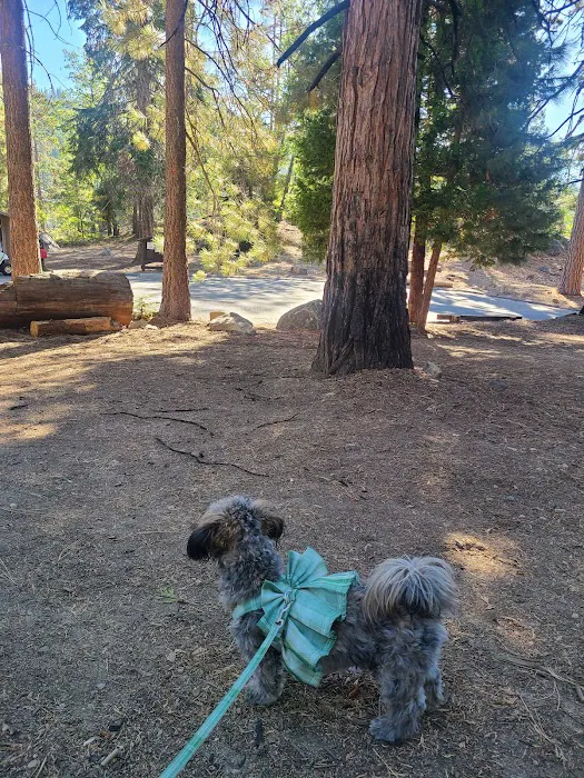 Upper Dinkey Creek Campground Picture 7