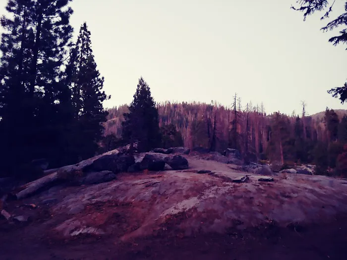 Upper Dinkey Creek Campground Picture 10