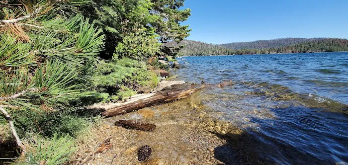 Billy Creek, Upper Campground Picture 6