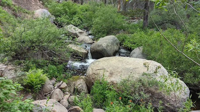 Lower Billy Creek Campground Picture 5