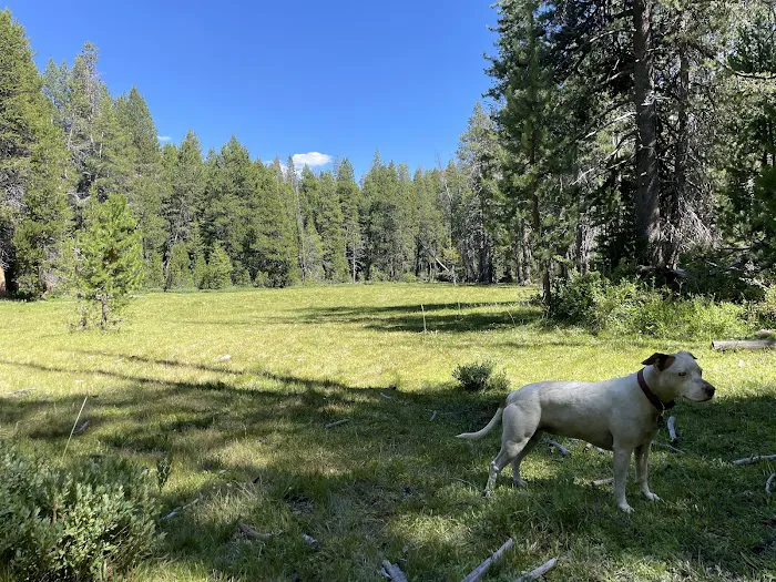 Sample Meadow Campground Picture 2