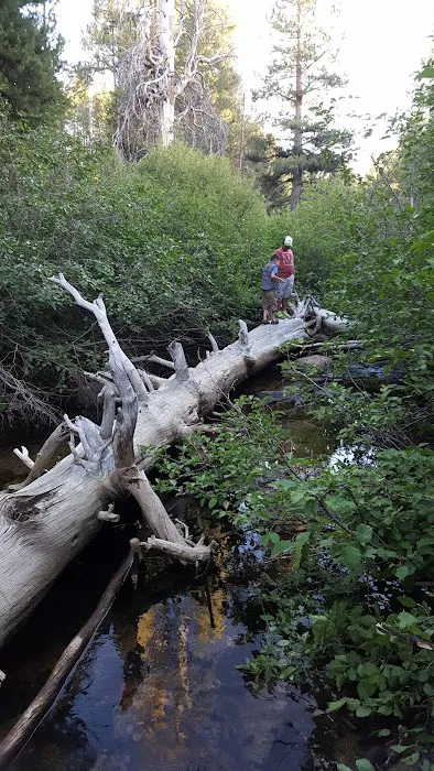 Sample Meadow Campground Picture 8
