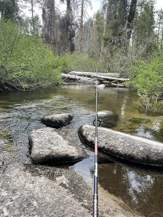 Sample Meadow Campground Picture 5