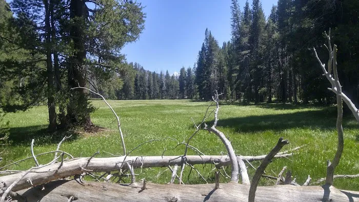 Sample Meadow Campground Picture 4