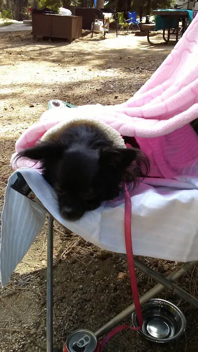 Kinnikinnick Campground Picture 5