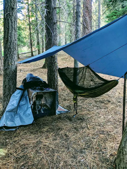 Kinnikinnick Campground Picture 8