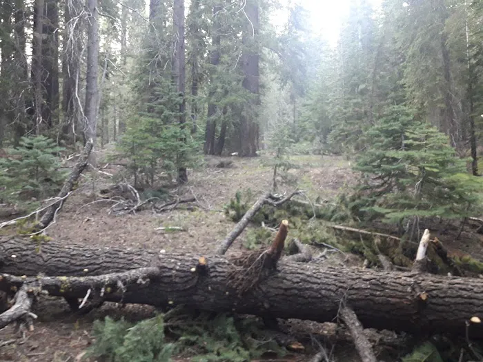 CATAVEE Campground Picture 4