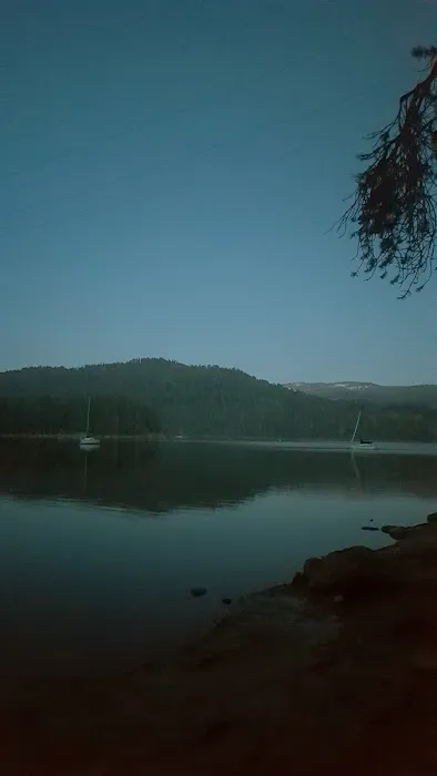 Bear Cove Picnic Site Picture 9