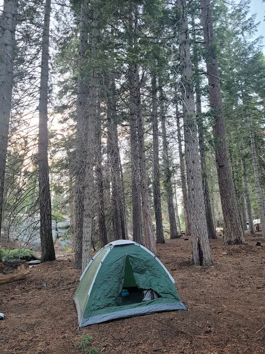 College Campground Picture 9