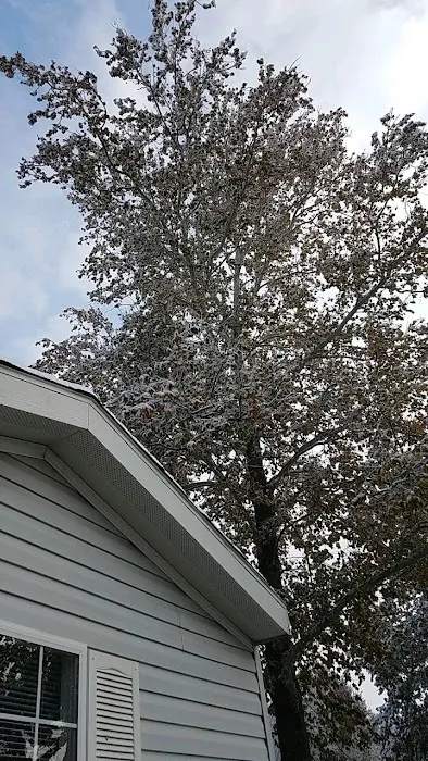 Ridge Village Mobile Home Park Picture 1