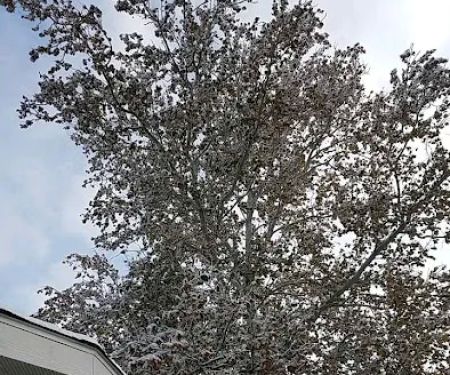 Ridge Village Mobile Home Park