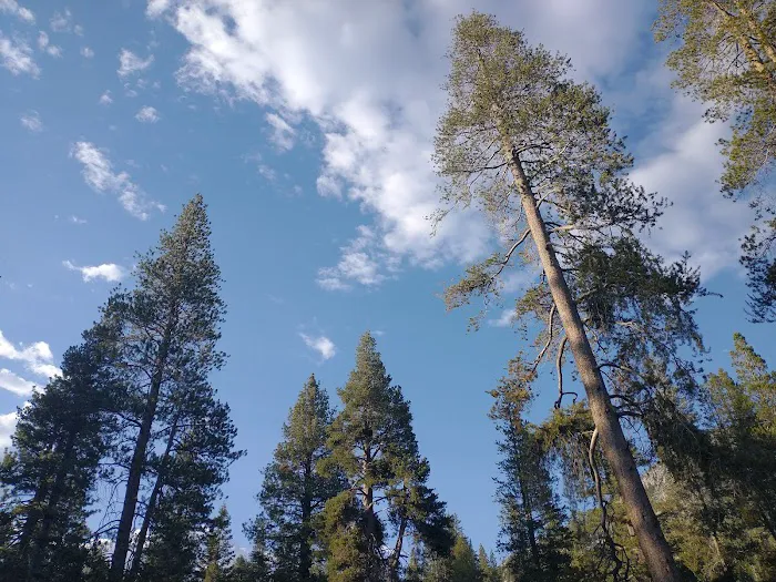 Reds Meadow Campground Picture 7